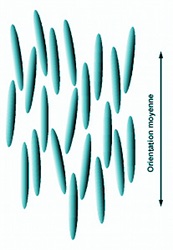 Structure nématique