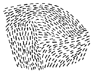 schéma de structure nématique