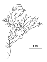 Structure fractale d'un fleuve