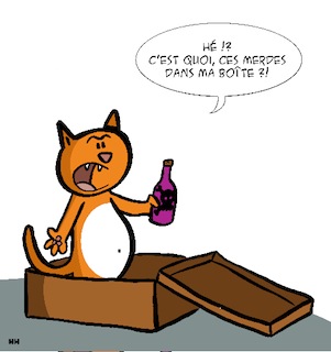 Le chat de Schrödinger