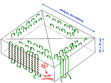 schéma d'un cristal de polyéthylène