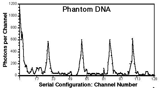 ADN fantôme c