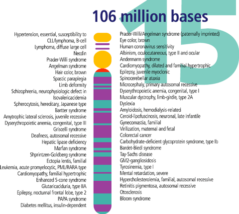 carte génique du chromosome 15