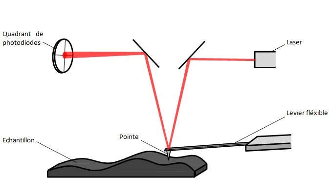 Microscope à force atomique