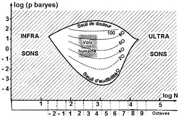 Seuils d'audibilit et de douleur