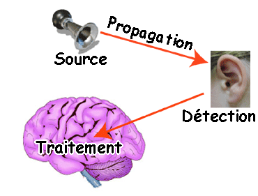 Perception du son