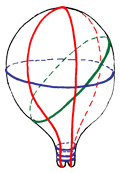 fibres de l'utérus