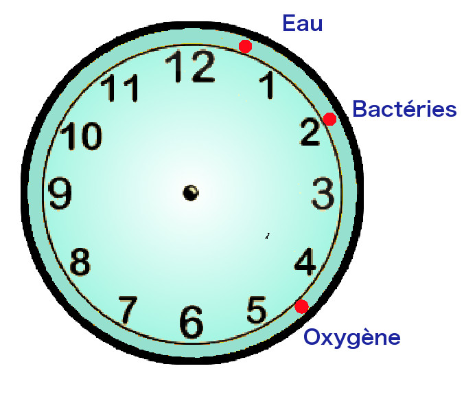 Chronologie de la Terre